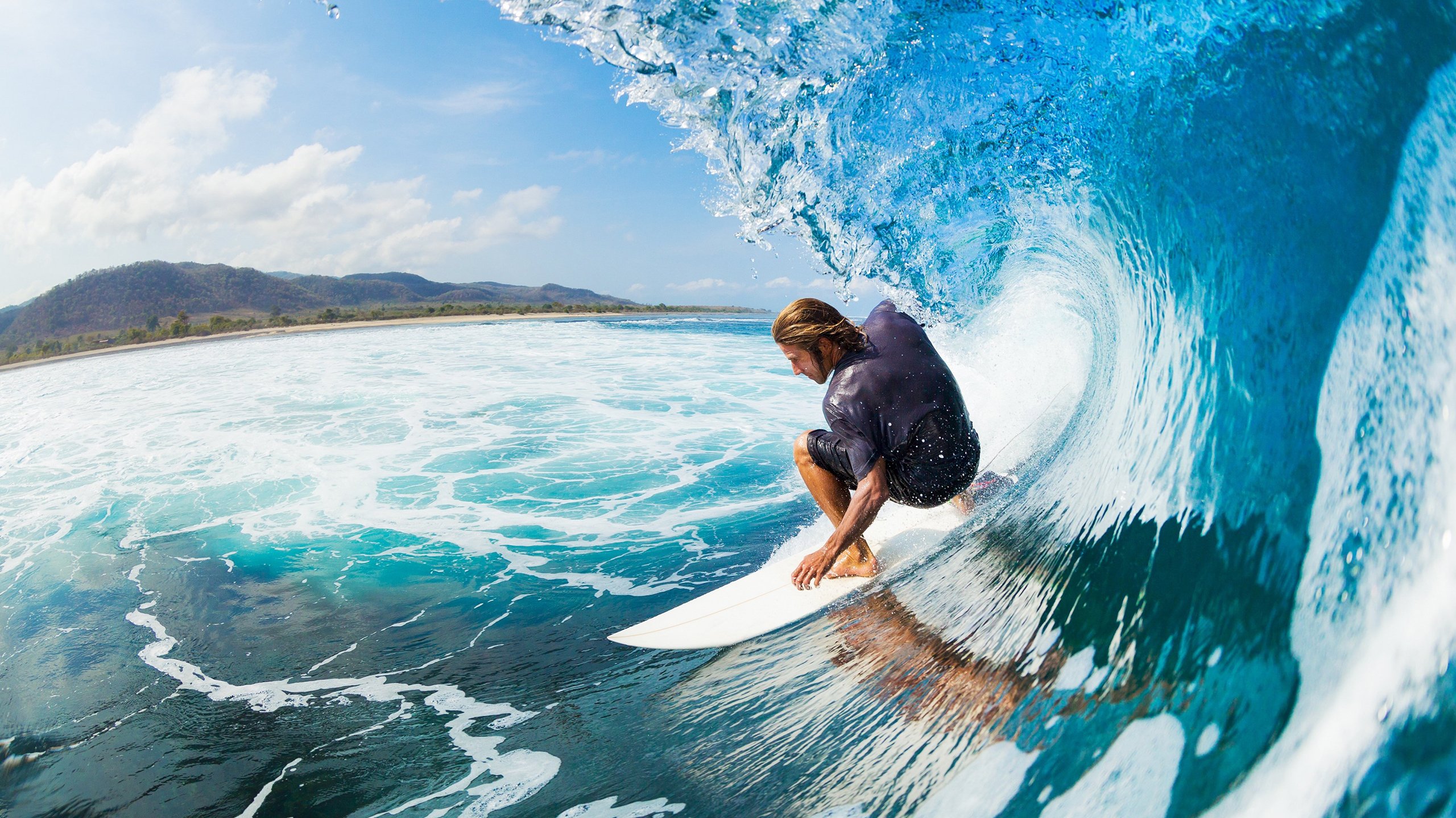 中澳混合泳战术布局解析，中澳混血是什么意思